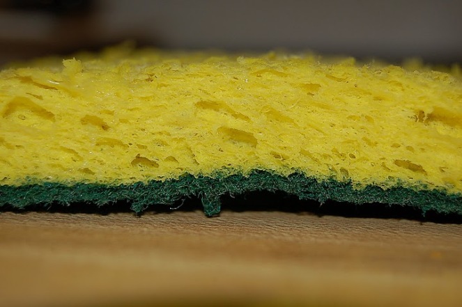 regular-sponges